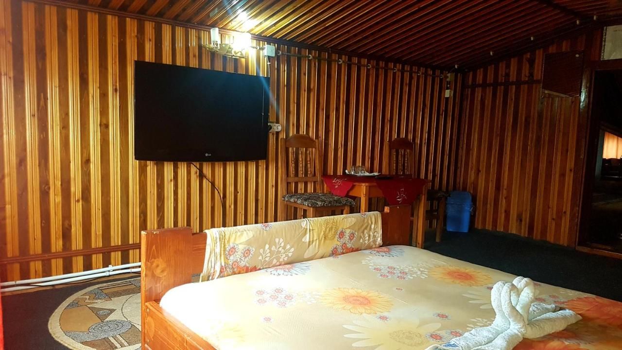 Хостелы Hostel INTIM Bîrlad