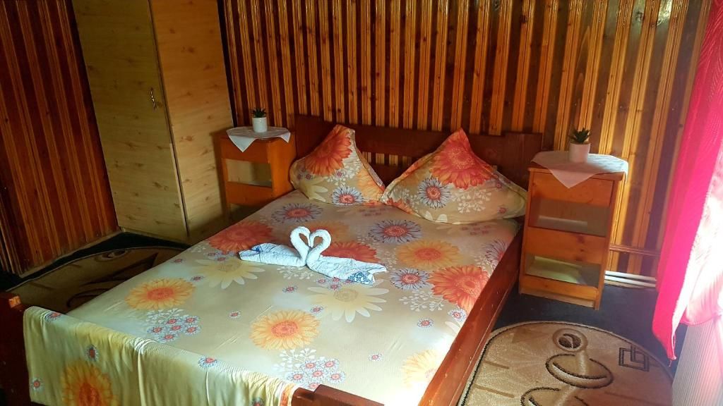 Хостелы Hostel INTIM Bîrlad