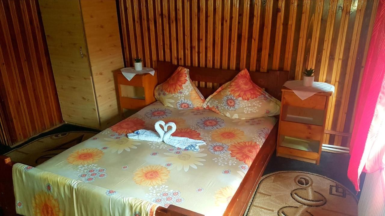 Хостелы Hostel INTIM Bîrlad-9